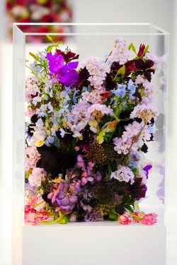 mirnah:  Flowers from the set of Jil Sander FW 2012 
