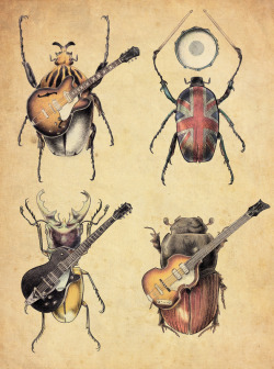 lacarpa: Meet the Beetles  by Eric Fan 