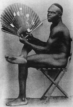 bluart106: Algeria, The Negro With A Fan, French Colonial Photograph,
