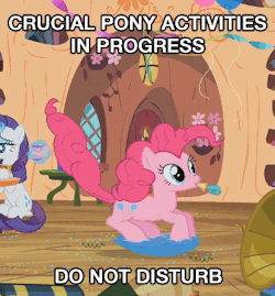 ponies-282:  So much room for activities 