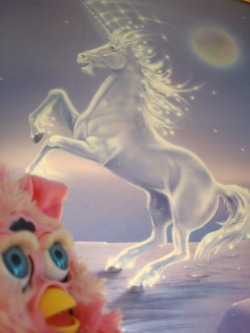 pinkfurbyadventures:  OMG, guys. Unicorns are real.