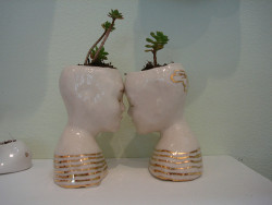 lingvonil:  Oh, I’ve always wanted plant pots like this!! 