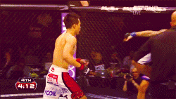 buddhabrand:  Dustin Poirier vs Chan Sung Jung - UFC on Fuel