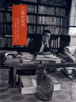 writersandkitties:  Kitty watching over Mishima’s work.  Bueno,