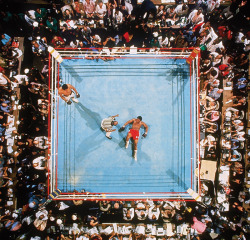 one-photo-day:Ali defeats Foreman 1974