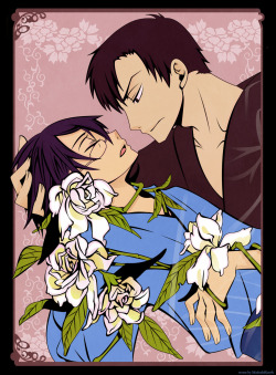 boysloveislife:  xxxHolic 