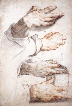 hadrian6:  study of hands. Hendrick Goltzius 