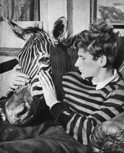 yama-bato:  Lucian Freud With Zebra Head c. 1943  la zebra è