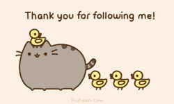 thanky for 100 follower!! i love u <3