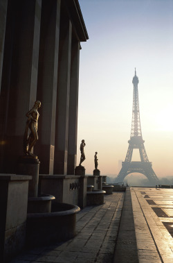 the view from eiffel tower