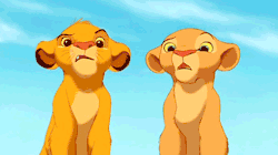  simba and nala are looking at each other like “what da