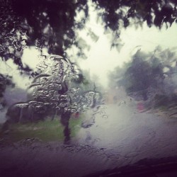 Rain (Taken with instagram)