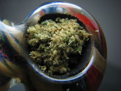 thatsgoodweed:  trichome bowl 