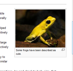 ohnosiro:  Wikipedia stoically acknowledges the cuteness of frogs.