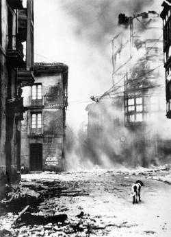 itsjohnsen:  A dog wanders the streets after the bombing of Guernica,