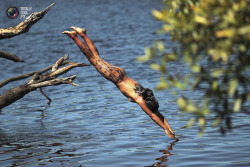 wantsee:  A Yawalapiti girl dives into the Xingu River in the