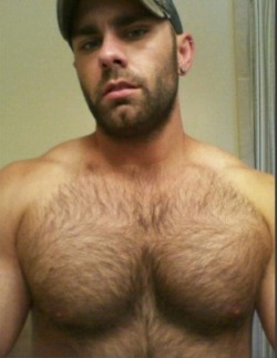  My two hairy men blogs: http://sambrcln.tumblr.com/archive http://hairysex.tumblr.com/archive