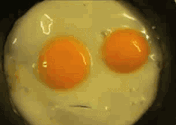 cracked:  collegehumor:  Fried Eggs Look Like They’re talking