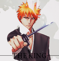 getsuga:  Ichigo, what is the difference between a king and his
