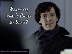 &ldquo;Wanna see what&rsquo;s Under my Shaw?&rdquo; Seriously though, save Undershaw!