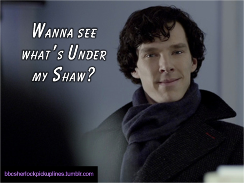 “Wanna see what’s Under my Shaw?” Seriously though, save Undershaw!