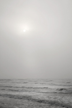ghostskeleton:  Pelican Beach, Galveston (by Mark Peter Drolet)