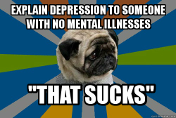 clinicallydepressedpug:  Credit“sucks” doesn’t even begin
