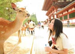 きつね目の女