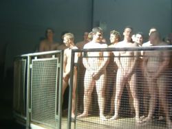 freshie:  Caged nekkid dudes..First come first served…  Well