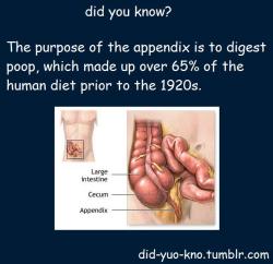 did-yuo-kno:  bearyourcross:  For years, the appendix was credited