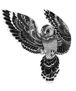 iainmacarthur:  owl in flight ink (2012) by Iain Macarthur