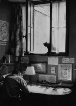 mondonoir:  Willy Ronis, Vincent et le chat, Paris, 1955 