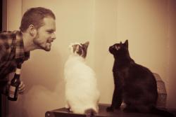 cuteboyswithcats:  justin, marie curie, and lil charlie darwin