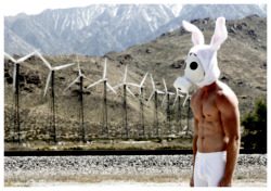  Toxic Bunny - Palm Springs, California - 2012 Alexander Guerra