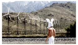 Toxic Bunny - Palm Springs, California - 2012 Alexander Guerra