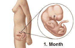 ciaradotrad:  ramonaandus:  I’m 7 months pregnant and this