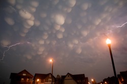 axolotl66:   goodnamesgone:  Mammatus clouds  