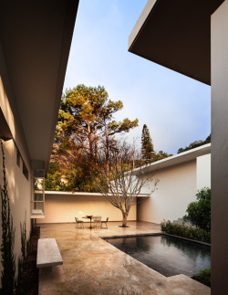  minimalist concrete backyard. good enough for Sayang and me,
