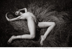 allmykink:  justin-n-lane: untitled, erica, collapsed grass photo by Justin N. Lane 