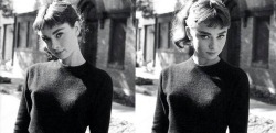 plumx:  exhali:  cheeekiki:  audreyhepburn-a-style-icon:  Audrey