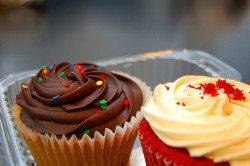 food-and-cake-escape:  http://foodandcakeescape.tk/