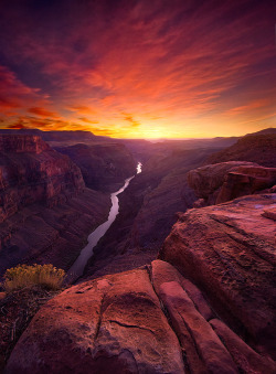ladoescurodalua:  Red Canyon by Marc Adamus 