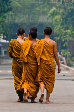 dr0gon:  Buddhist monks walking, Wat Chedi Luang (Buddhist temple),