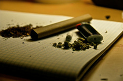 weedmygolden.tumblr.com/post/25477490368/