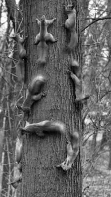 thingsanotherworld.tumblr.com/post/25828605910/