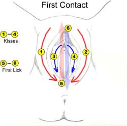 lopez-g-rodriguez:  Step 1: First Contact You want to make the first lick to be a memorable one. The Setup will build more sexual tension and anticipation for your first lick, and it’ll leave her wanting more. The Setup 1. Perform a series of kisses