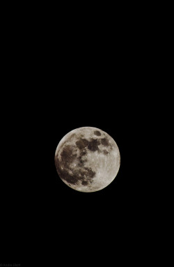 andreelliottphoto:  This is our moon tonight.  © Andre Elliott