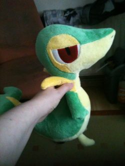 Got a talky snivy