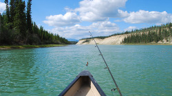 thecanadablog:  Canoeing, Yukon River by travelyukon on Flickr.