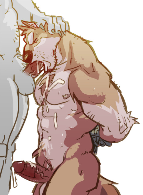 tumblr photo gayfurrypornpics 0